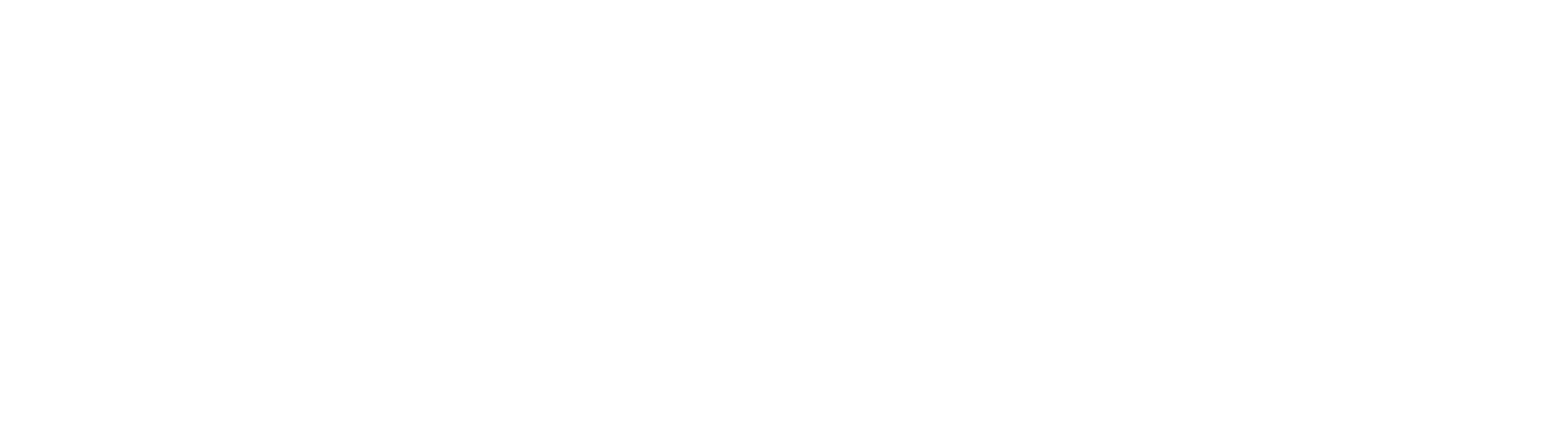 Connect Xperience Icon